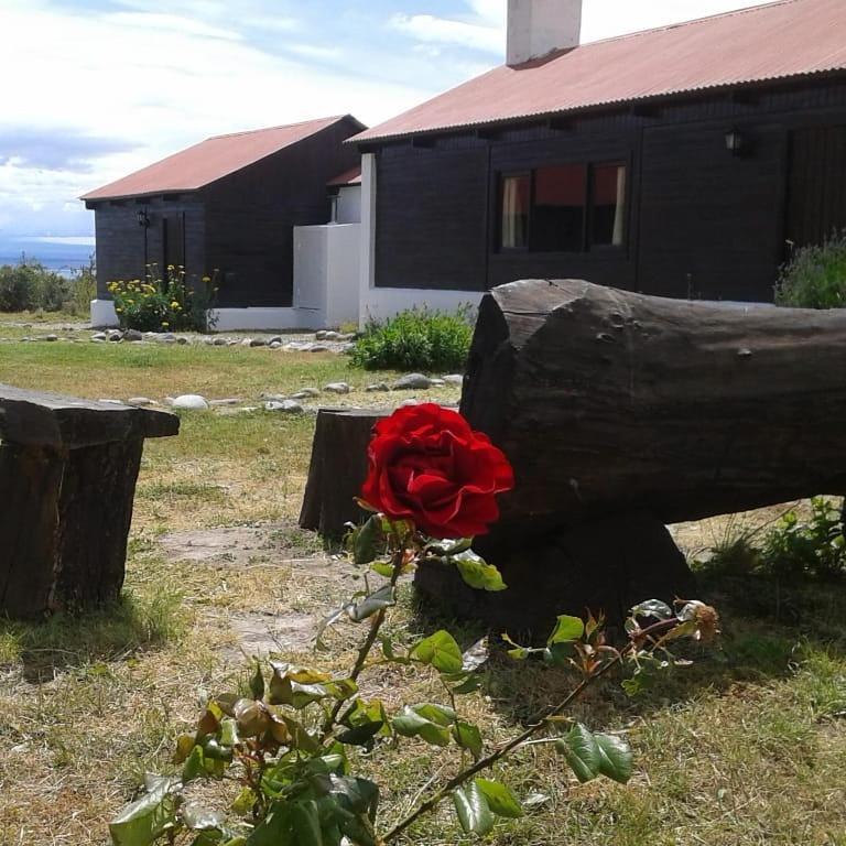 Estancia La Serena Ghiacciaio Ghiacciaio Perito Moreno Esterno foto