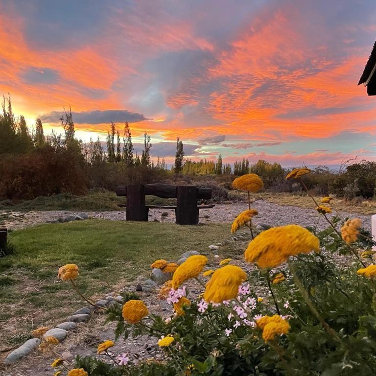 Estancia La Serena Ghiacciaio Ghiacciaio Perito Moreno Esterno foto