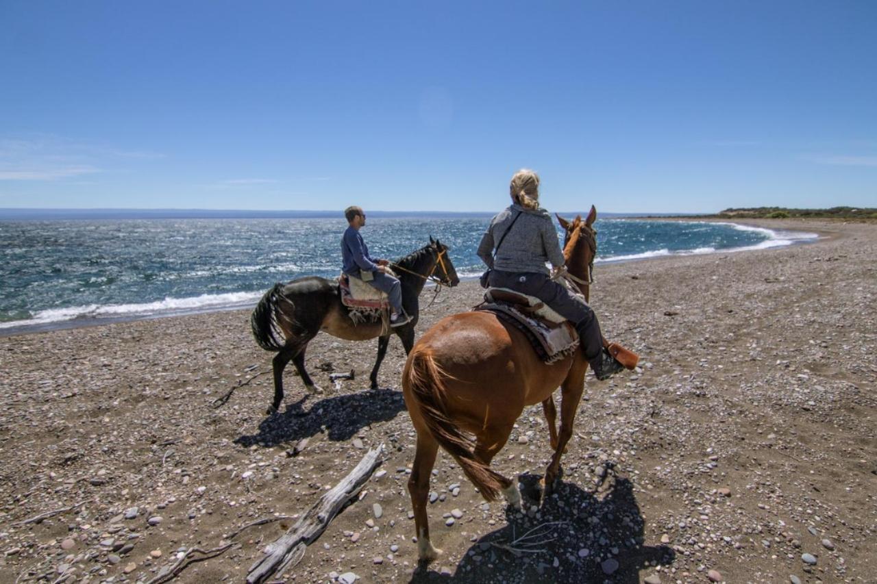 Estancia La Serena Ghiacciaio Ghiacciaio Perito Moreno Esterno foto