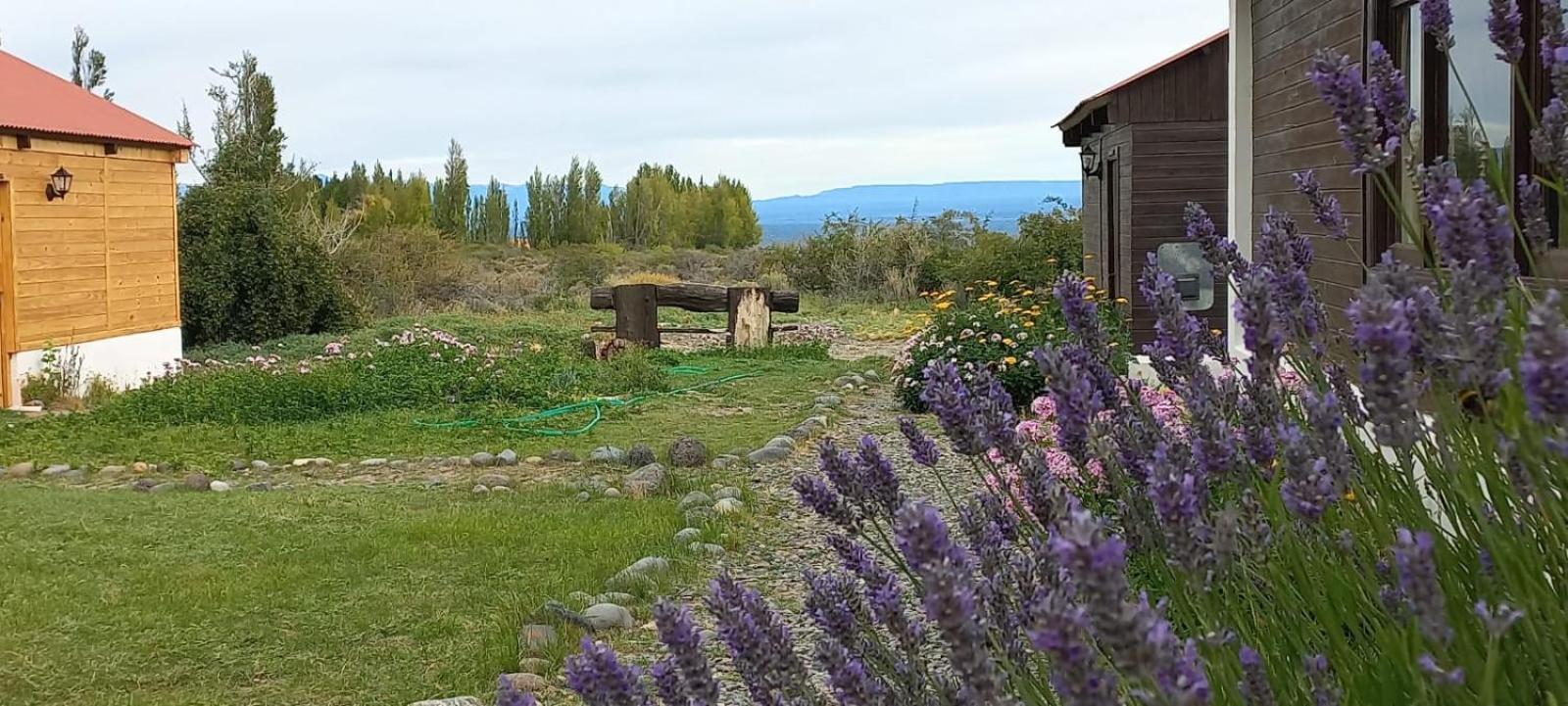 Estancia La Serena Ghiacciaio Ghiacciaio Perito Moreno Esterno foto